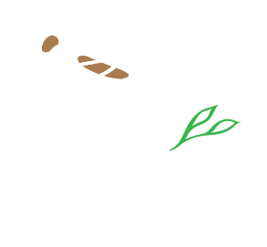 자연에서 건강을 먹다